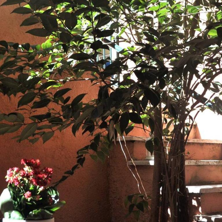Casa con giardinetto al centro di Roma - Apartment - 15