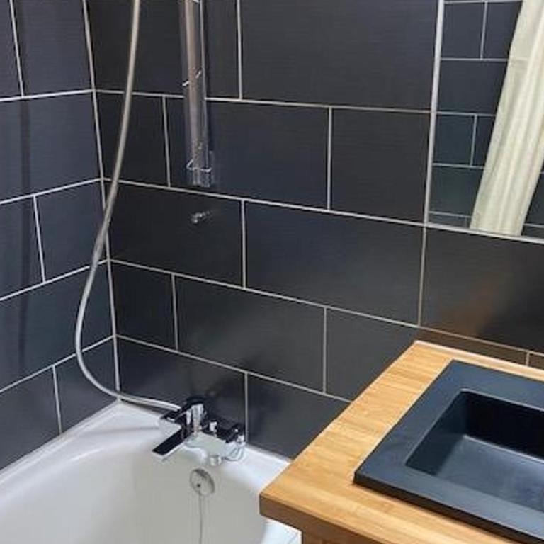 Appartement aux pieds des pistes avec wifi et animaux admis - FR-1-574-19 - Apartment (4 Adults) - 9