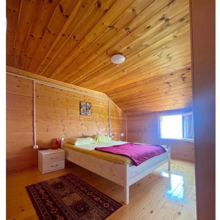 Krnic Kottage Ratac-Sutomore-Bar-Montenegro - Kuća sa 3 Spavaće Sobe - 19
