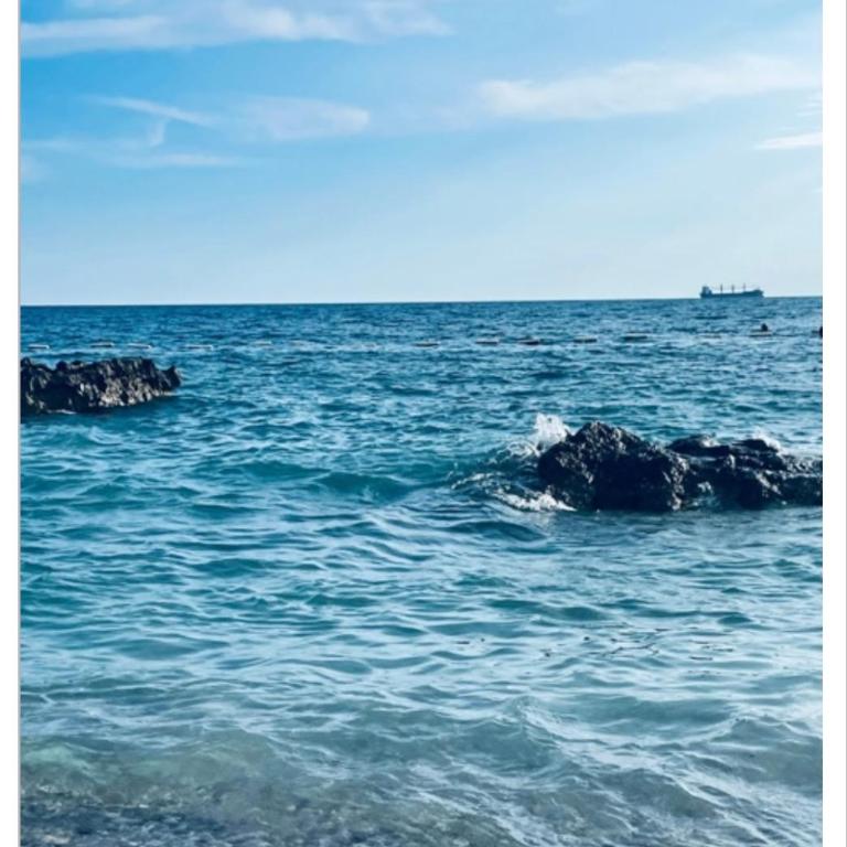 Krnic Kottage Ratac-Sutomore-Bar-Montenegro - Kuća sa 3 Spavaće Sobe - 28