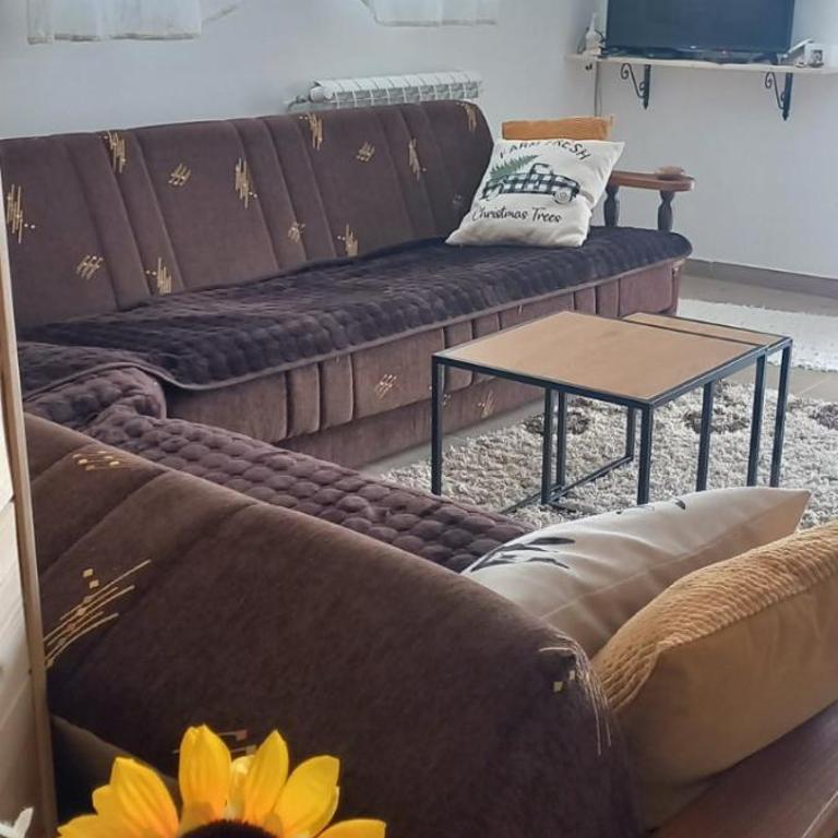 Apartman Popović - Vila Gorštak - One-Bedroom Apartment - 7