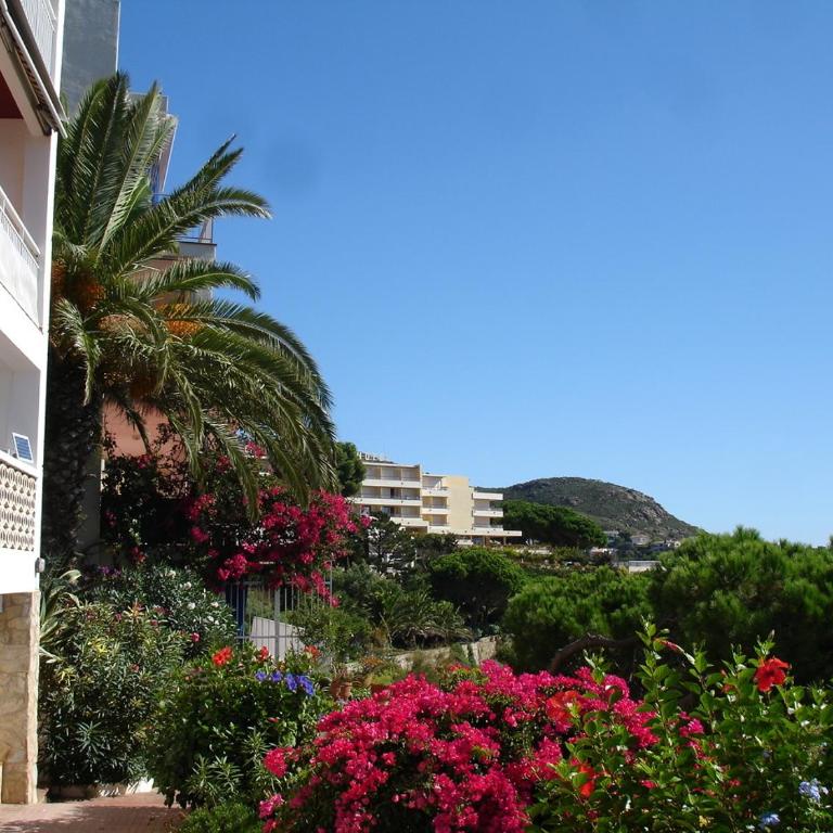 Apartament Belvedere - Apartamento de 2 dormitorios - 61