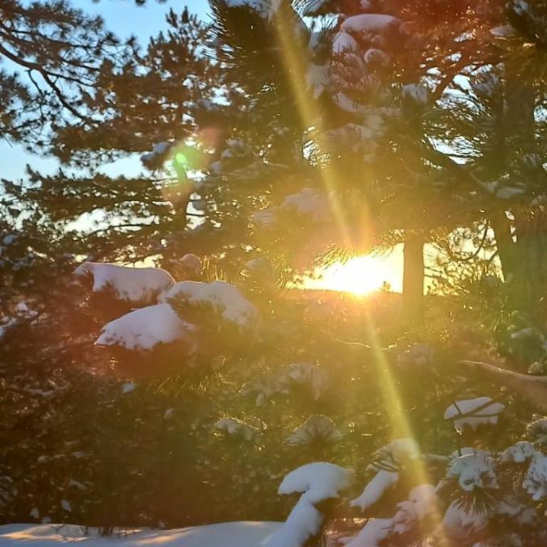 Apartman Popović - Vila Gorštak - Apartman sa 1 Spavaćom Sobom - 24