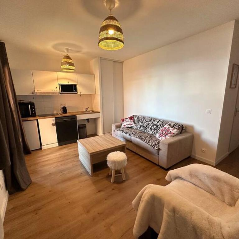 Superbe T2 au pied des pistes - Appartement 1 Chambre - 7