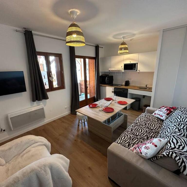 Superbe T2 au pied des pistes - Appartement 1 Chambre - 11