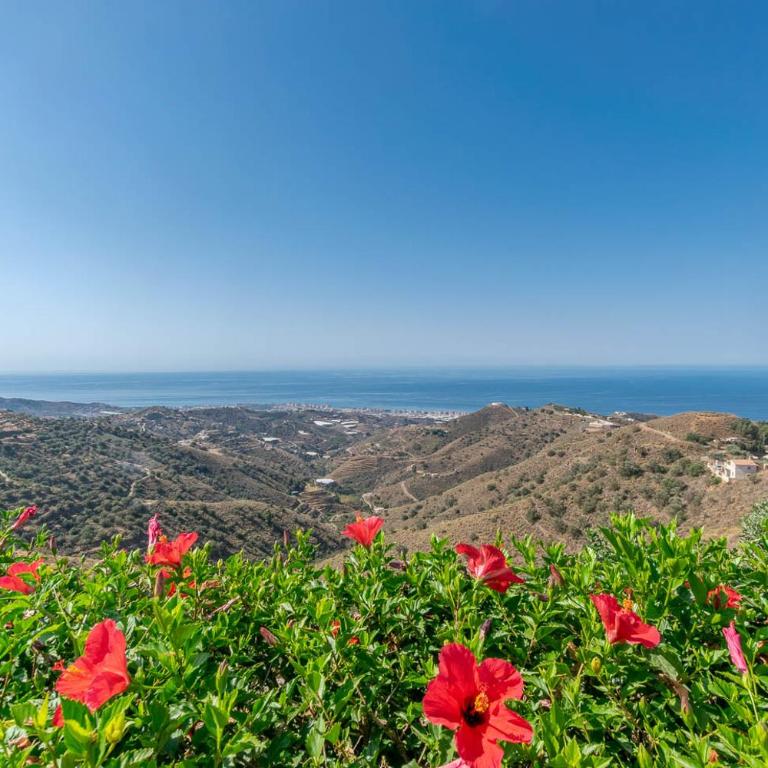 VillaVista mit Meerblick und privatem Pool - Villa de 3 dormitorios - 28