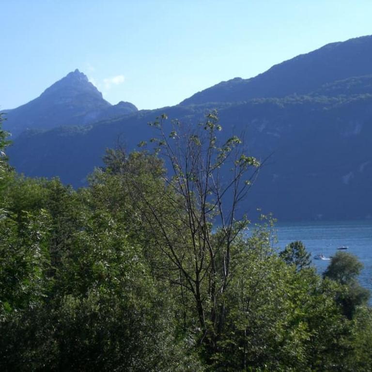 Meublé avec jardin au bord lac du Bourget - Studio avec Vue sur Lac - 7