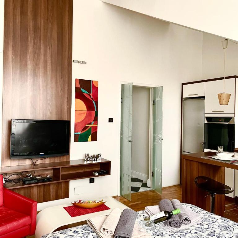 TRIANGLE CITY Apartment 1 - Apartman sa 1 Spavaćom Sobom - 17