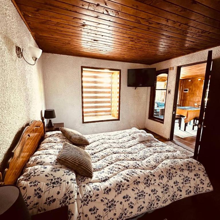 Villa Santa Rita - Casa con 1 dormitorio - 7