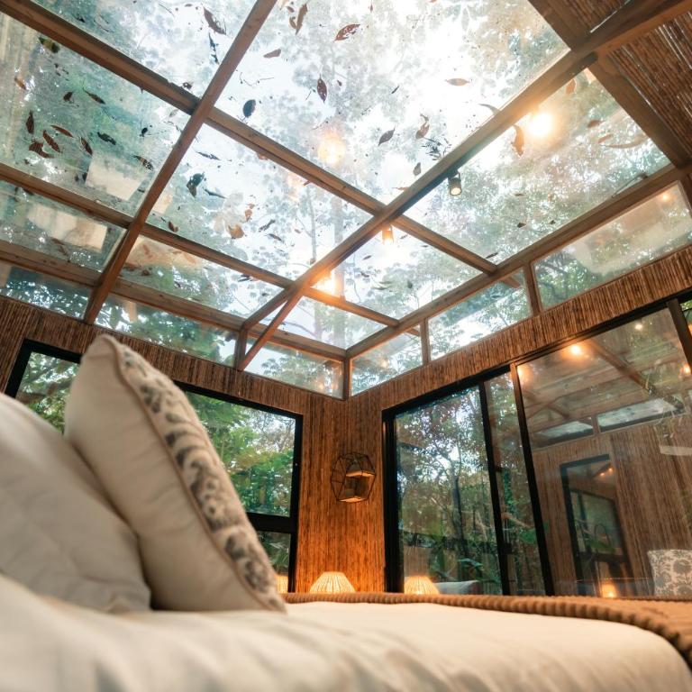 BubbleSky Glamping Guatapé - Alojamiento Bubble Sky, nuevo glamping acristalado - 15