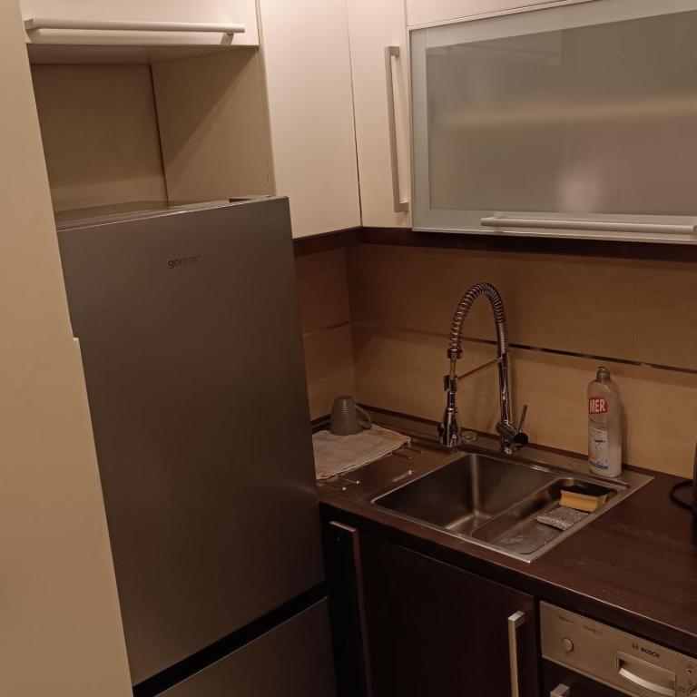 Slavija Lux Apartment - One-Bedroom Apartment - 12