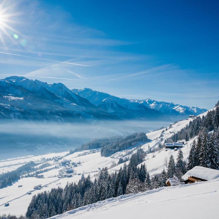 Chalet in Hollersbach near Kitzbühel Ski Lift - Ferienhaus mit 3 Schlafzimmern - 27