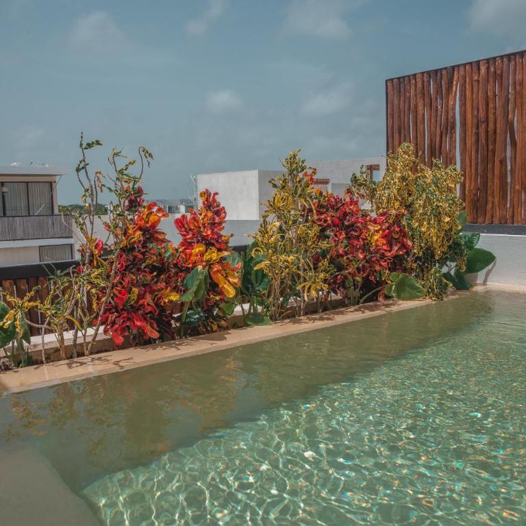 Luxury Penthouse 3BR with Private Pool & Rooftop La Veleta - Apartamento de 3 dormitorios con piscina privada - 18