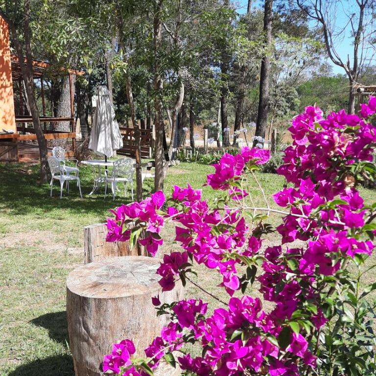 El zorzal - One-Bedroom House - 5