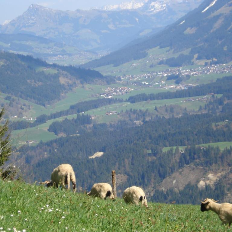 Flecklhütte - Haus mit 2 Schlafzimmern - 16