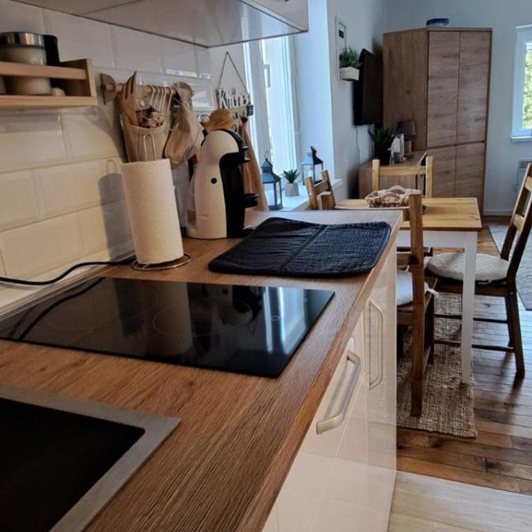 A2Kopaonik newly built apartments - Apartman - 19