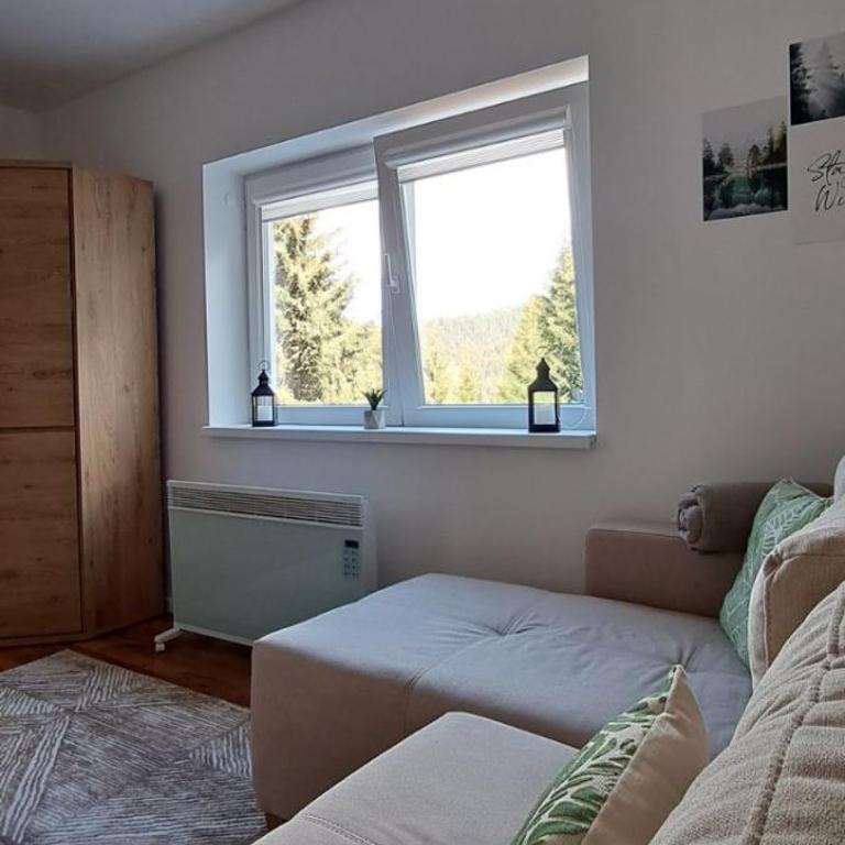 A2Kopaonik newly built apartments - Apartman - 22