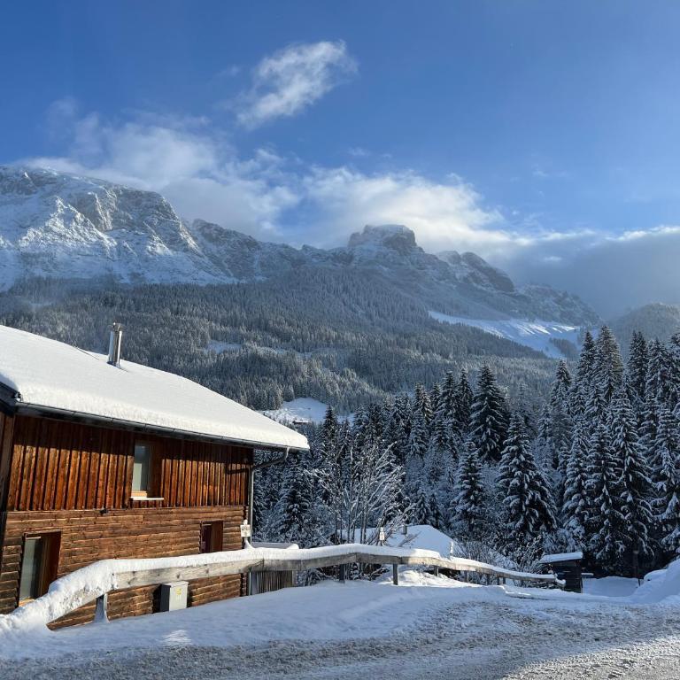 Alpenferienhaus Dachstein-West - Haus mit 3 Schlafzimmern - 17