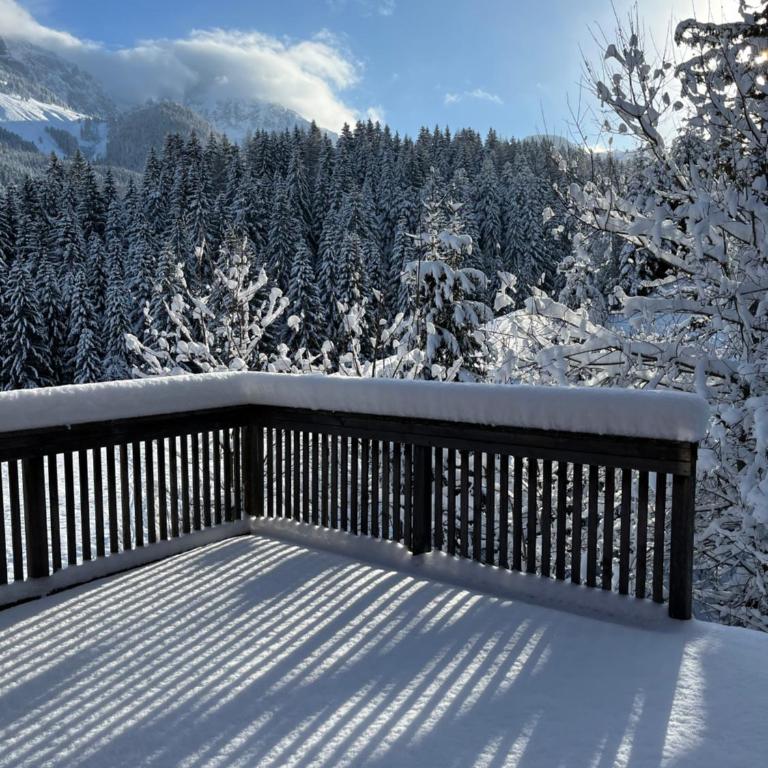 Alpenferienhaus Dachstein-West - Haus mit 3 Schlafzimmern - 18