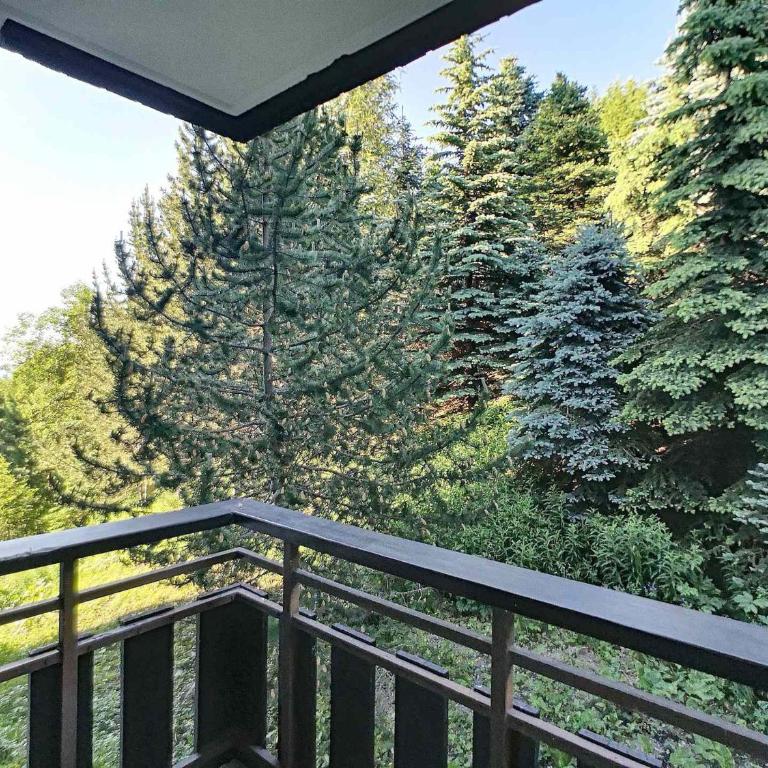 Joli Studio 2 Pers, Wifi, Animaux Admis, Parking - Studio - 9