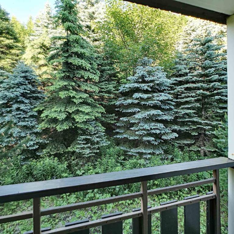 Joli Studio 2 Pers, Wifi, Animaux Admis, Parking - Studio - 10