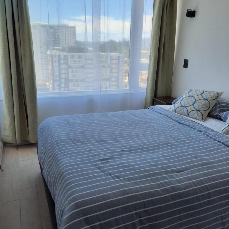 Apartamento Nuevo Central 2P - Apartamento - 13