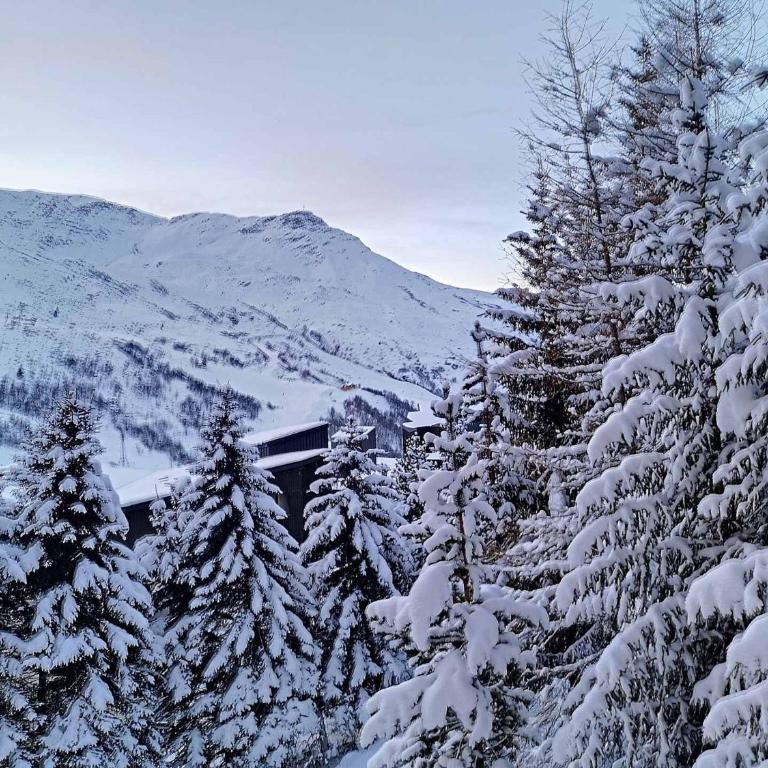 Studio ski aux pieds, 4 pers, Les Menuires - FR-1-178-53 - Studio - 8