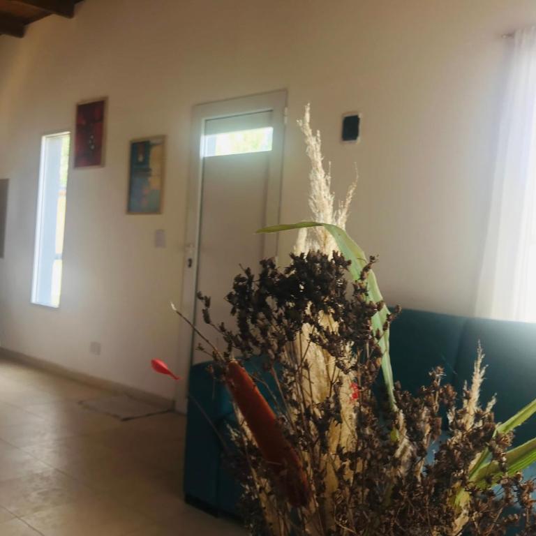 Casita en plottier - Casa con 1 dormitorio - 1