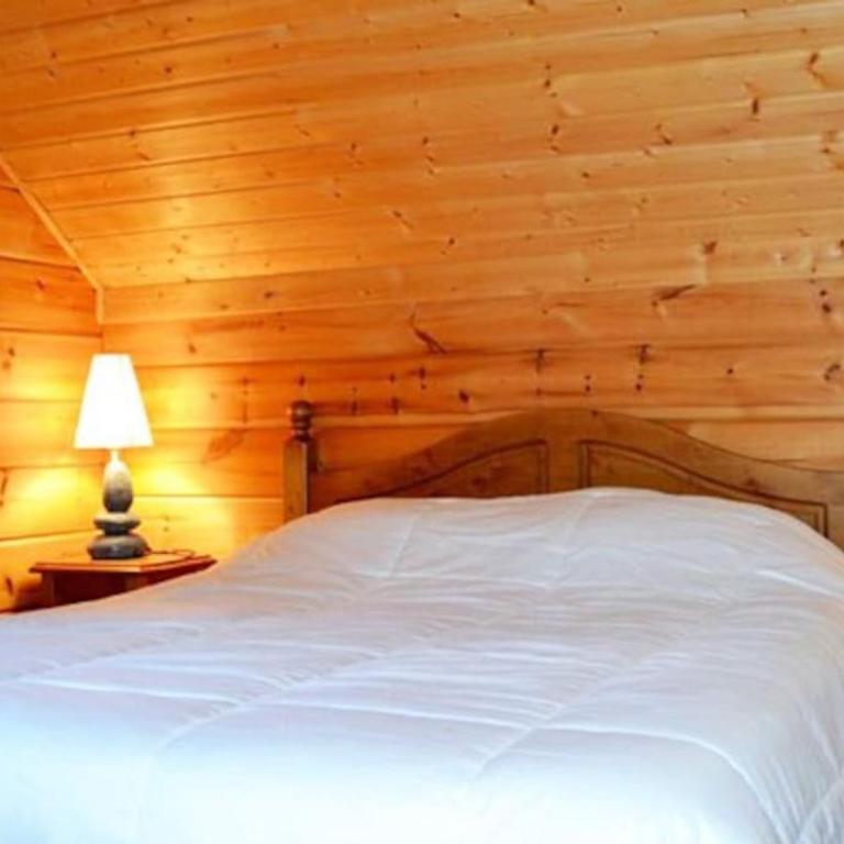 Grand chalet en bois avec vue splendide - Three-Bedroom Chalet - 10