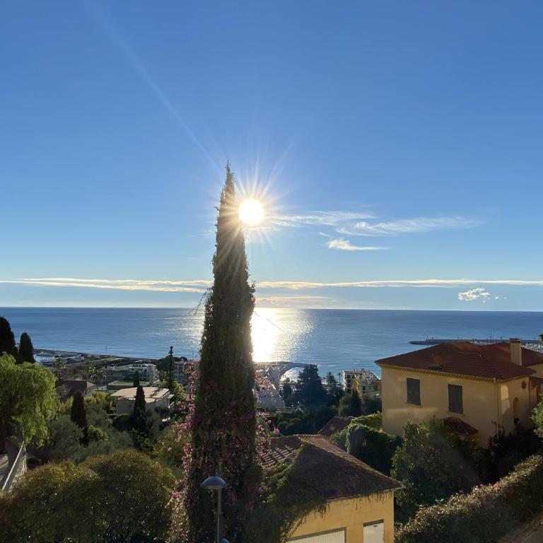 Le Vigia-vue mer-terrasse-climatisation-parking - Monolocale - 20