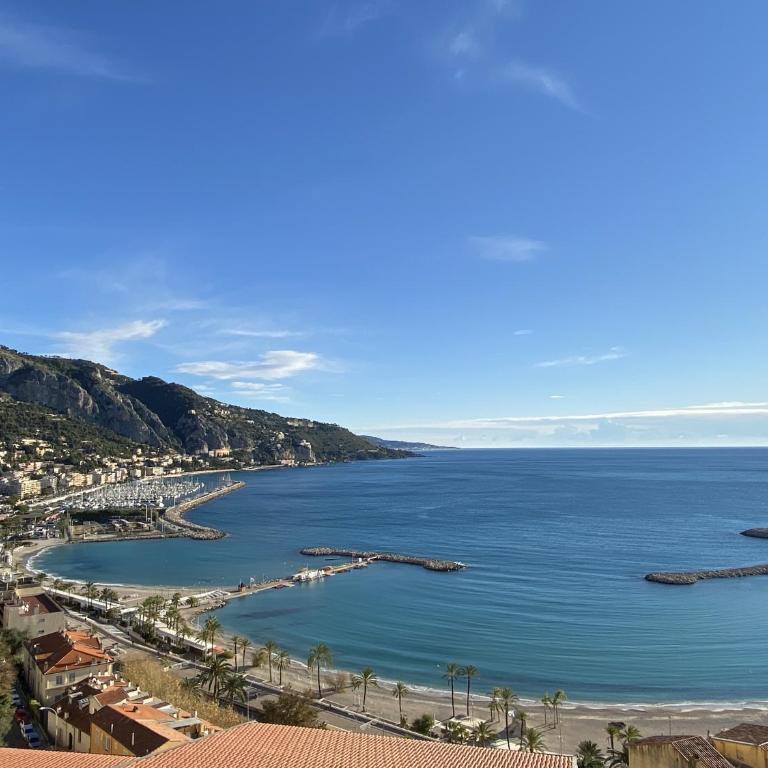 Le Vigia-vue mer-terrasse-climatisation-parking - Monolocale - 21