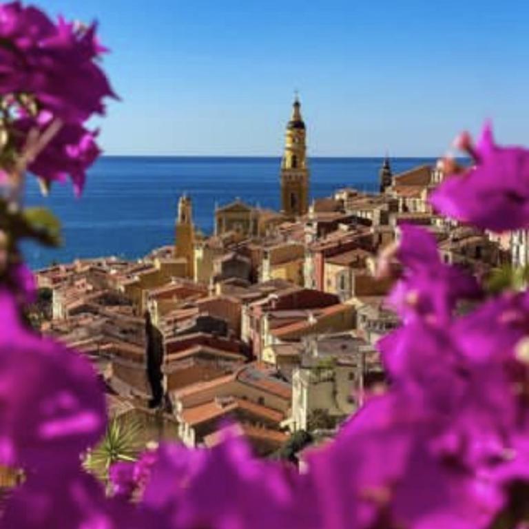 Le Vigia-vue mer-terrasse-climatisation-parking - Monolocale - 30