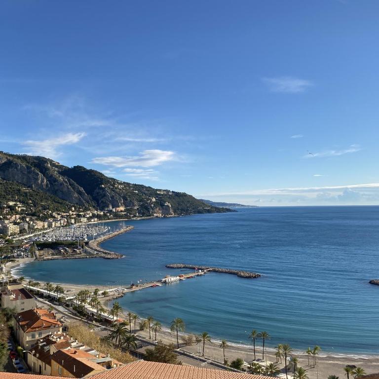 Le Vigia-vue mer-terrasse-climatisation-parking - Monolocale - 29