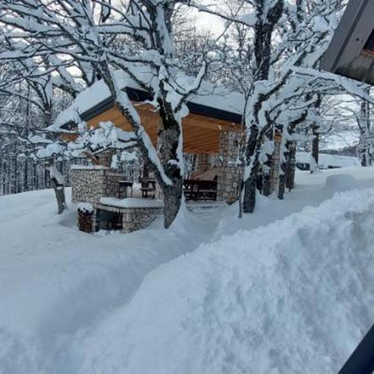 Vila Sun forest - Villa - 66