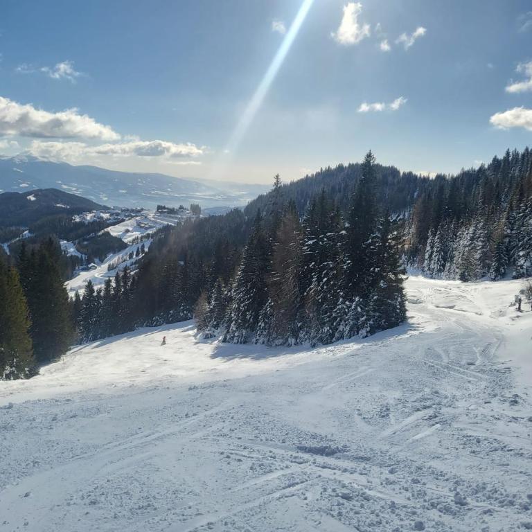 KlippitzStar mit Panoramablick - Chalet mit 2 Schlafzimmern - 21