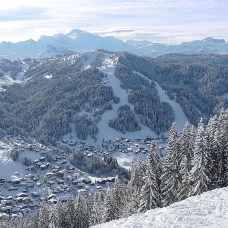 Appartement de Standing au Coeur des Gets, 3 Chambres, 10 Couchages, Parking, Proche Pistes et Commerces - FR-1-623-296 - Appartamento (10 Adulti) - 6