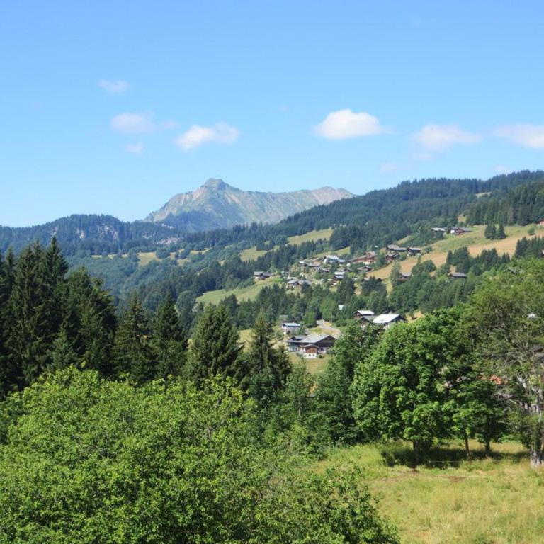 Les Gets - Appartement Calme Proche Centre, Parking, WiFi - FR-1-623-29 - Appartamento (6 Adulti) - 12