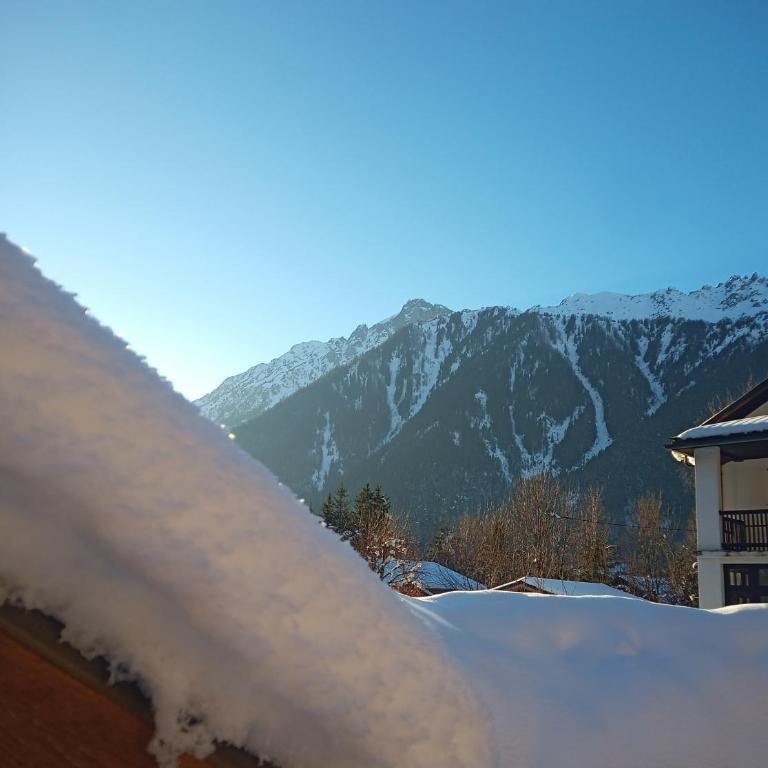 le jardin de talèfre - Chalet 3 Chambres - 7