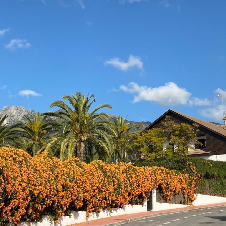 Casa El Maizal - Villa con piscina privada - 66