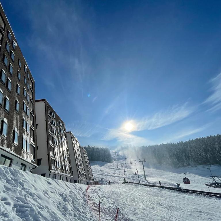 Apartman Ravna Planina - One-Bedroom Apartment - 24