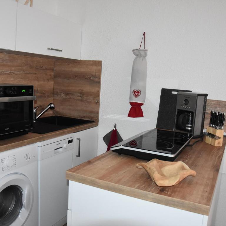 Joli studio proche centre, 4 pers, balcon - FR-1-464-173 - Monolocale - 5