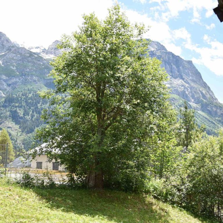 Appartement familial à Pralognan - 6 pers, balcon est - FR-1-464-181 - Three-Bedroom Apartment - 7