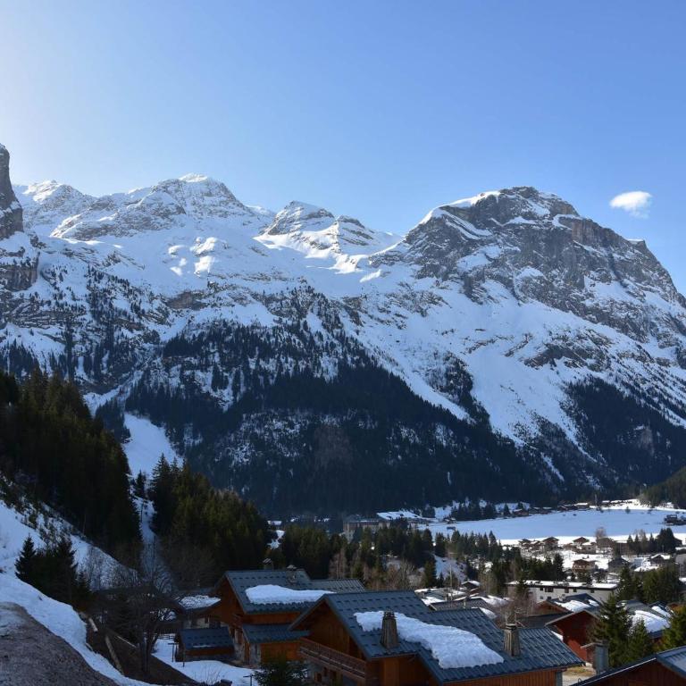 Studio lumineux près des pistes, calme avec garage fermé - FR-1-464-35 - Apartamento (4 adultos) - 6
