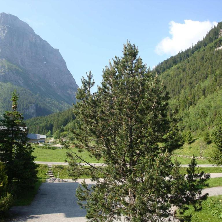 Studio confortable avec balcon sud à Pralognan-la-Vanoise - FR-1-464-71 - Studio - 7
