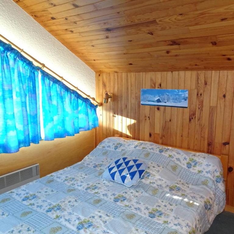 Duplex lumineux près des pistes, parking couvert, 4 pers. - FR-1-464-95 - Appartement 2 Chambres - 3