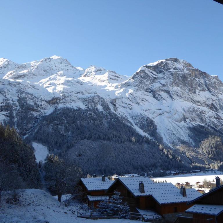 Confort familial près des pistes, calme en été, à Pralognan-la-Vanoise - FR-1-464-119 - Two-Bedroom Apartment - 6