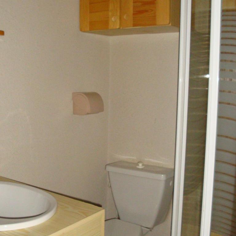 Studio cosy centre, balcon sud, animaux et parking - FR-1-464-129 - Studio - 7
