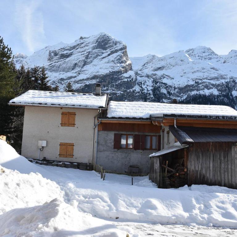 Beau 2 pièces neuf dans chalet à Pralognan - 4 pers - FR-1-464-142 - Apartamento de 1 dormitorio - 8