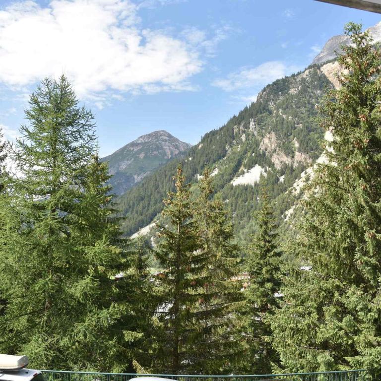 Appartement ensoleillé, balcon sud, 4 pers, centre Pralognan-la-Vanoise - FR-1-464-112 - Two-Bedroom Apartment - 11