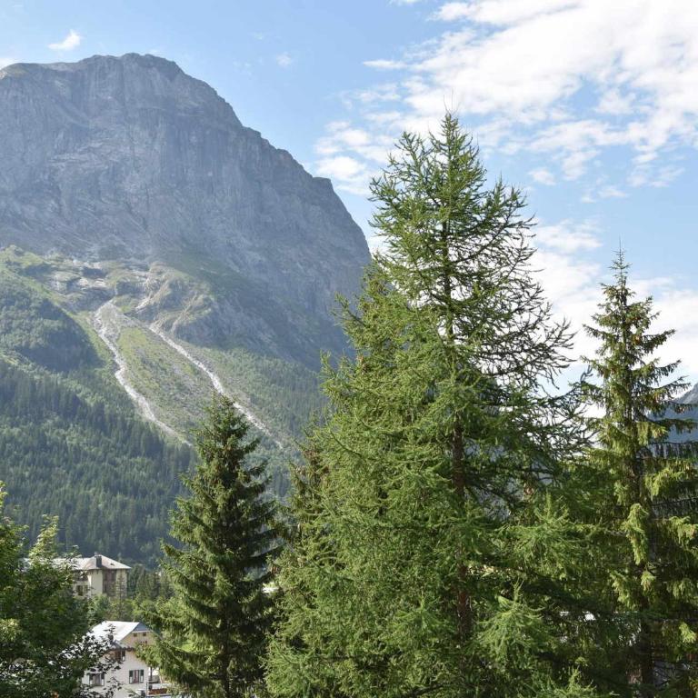 Appartement ensoleillé, balcon sud, 4 pers, centre Pralognan-la-Vanoise - FR-1-464-112 - Two-Bedroom Apartment - 12